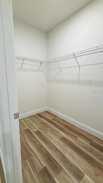 Walking closet 1