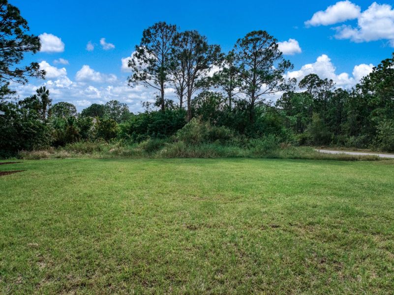 Natural landscape and outdoor views near  in Lake Placid (Image 46).