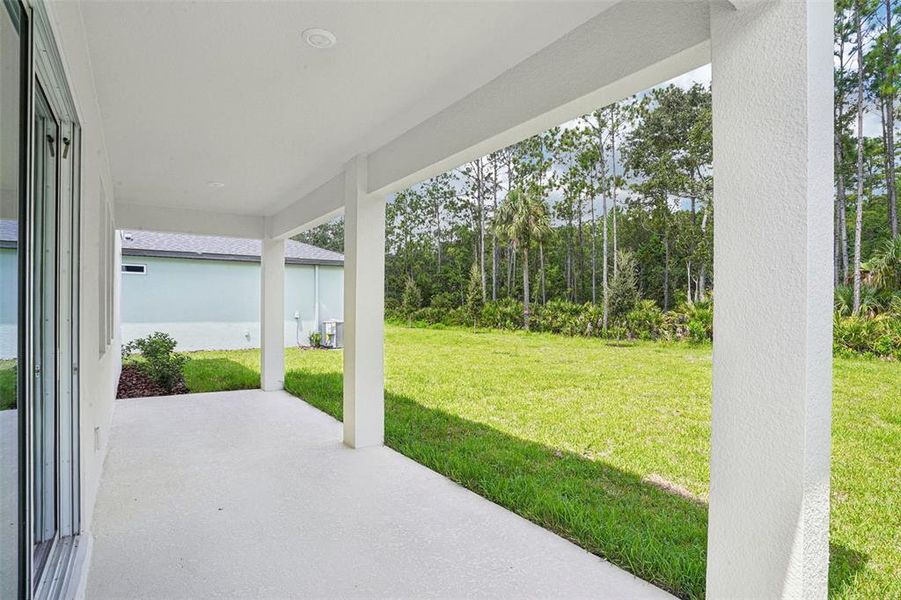 Exterior details and patio area of a home in Ridgehaven - Signature Series, Ormond Beach (Image 31).