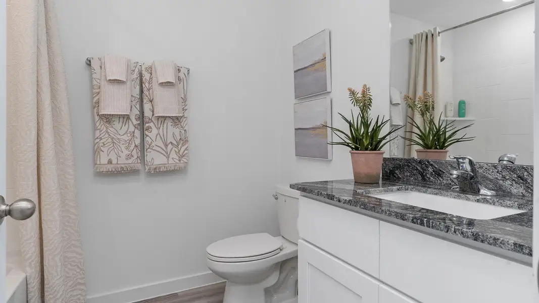 Furnished interior view inside a new home in Caldwell Crossing, Iowa Colony (Image 13).