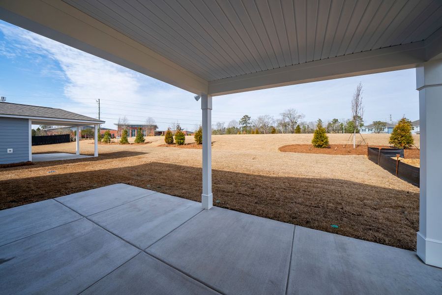 Exterior details and patio area of a home in Monroe Preserve, Chapin (Image 30).