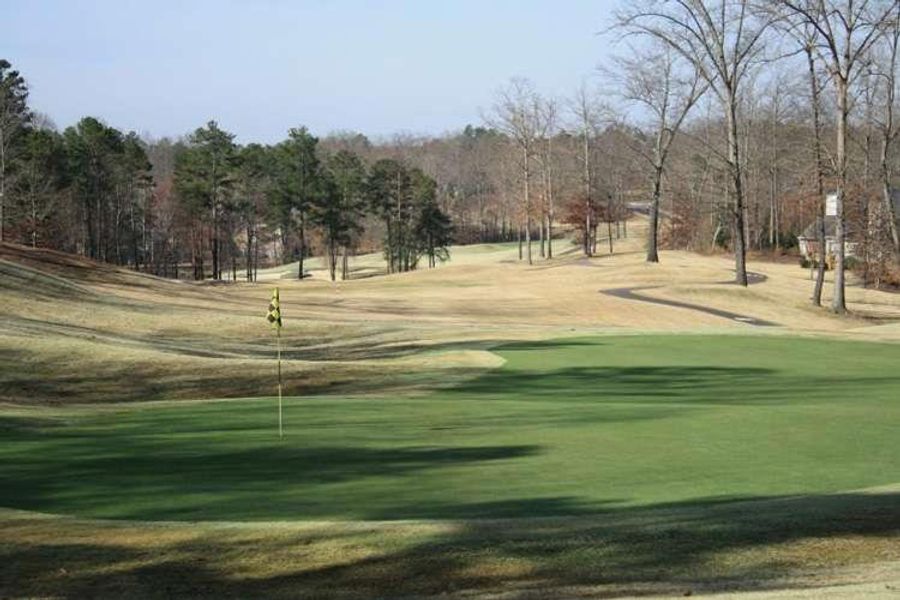 Natural landscape and outdoor views near  in Flowery Branch (Image 14).