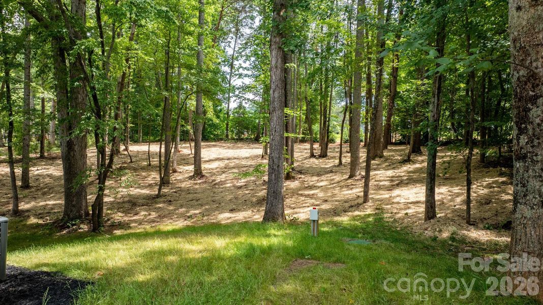 Natural landscape and outdoor views near  in Lincolnton (Image 44).