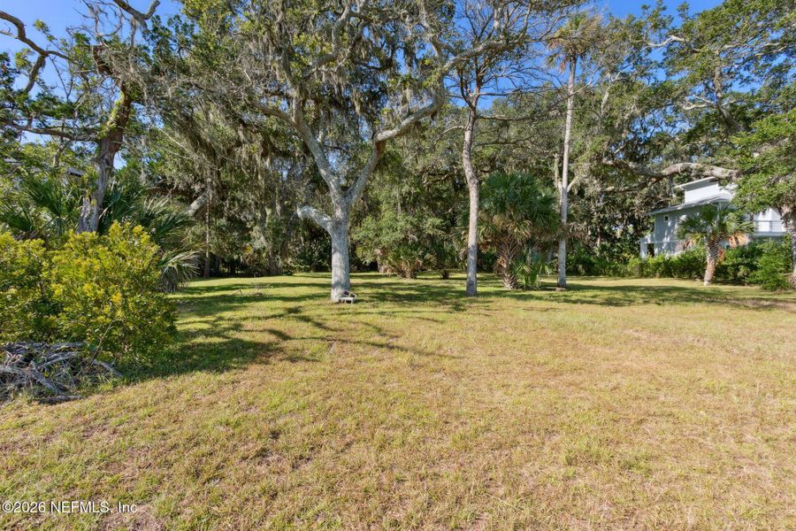 Natural landscape and outdoor views near  in Jacksonville (Image 15).