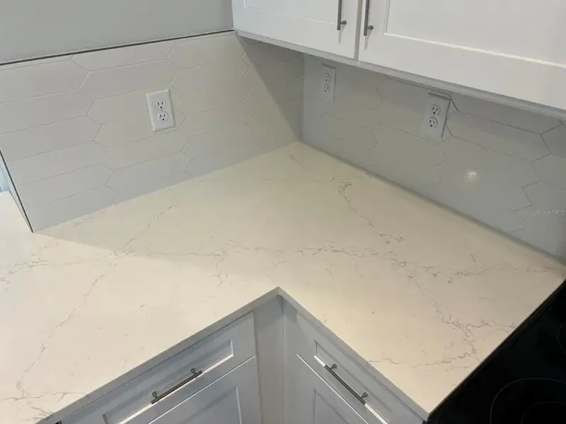 Close-up of interior finishes inside a home in The Towns At Long Bayou, Seminole (Image 10).