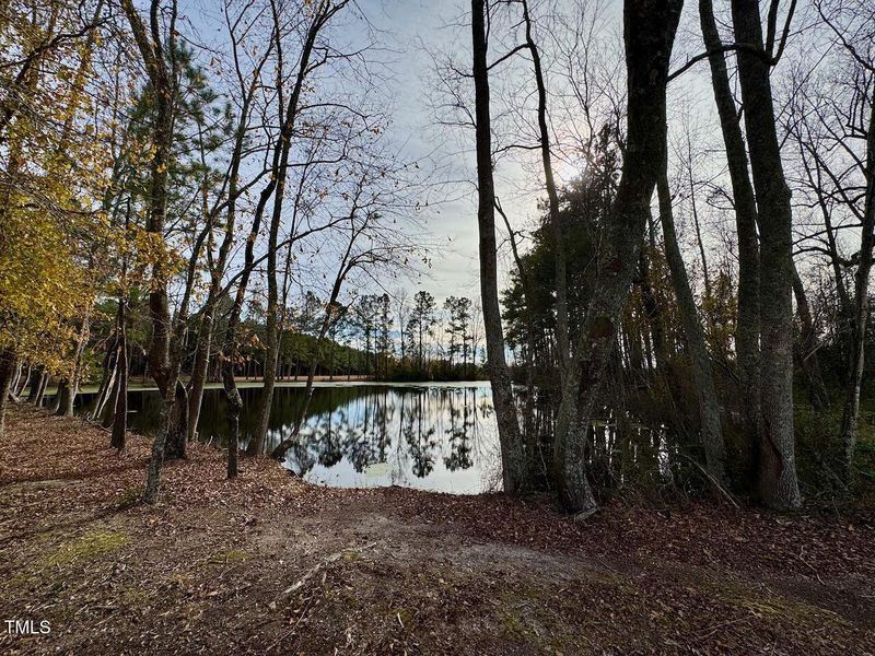 Griffon Pointe's Pond