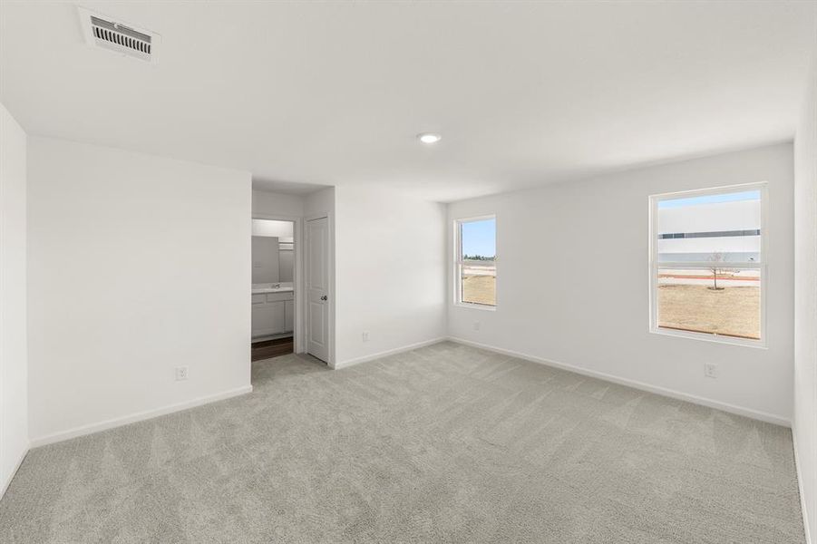 19. 1282 Herring - Primary 19. 1282 Herring - Primary