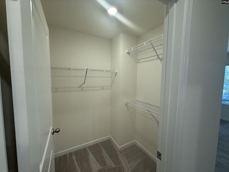 Spacious, unfurnished interior of a new home in Walker’s Trail, Lexington (Image 22).