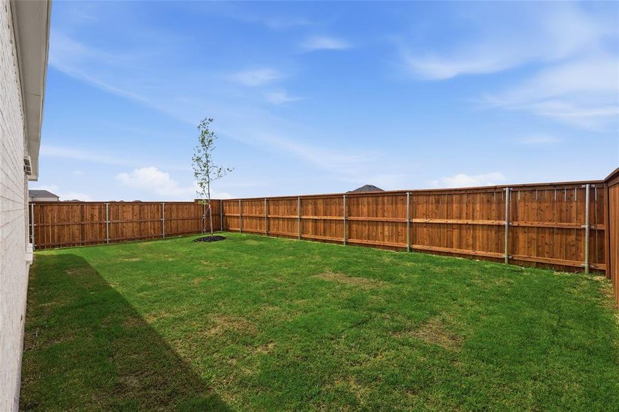 View of fenced backyard