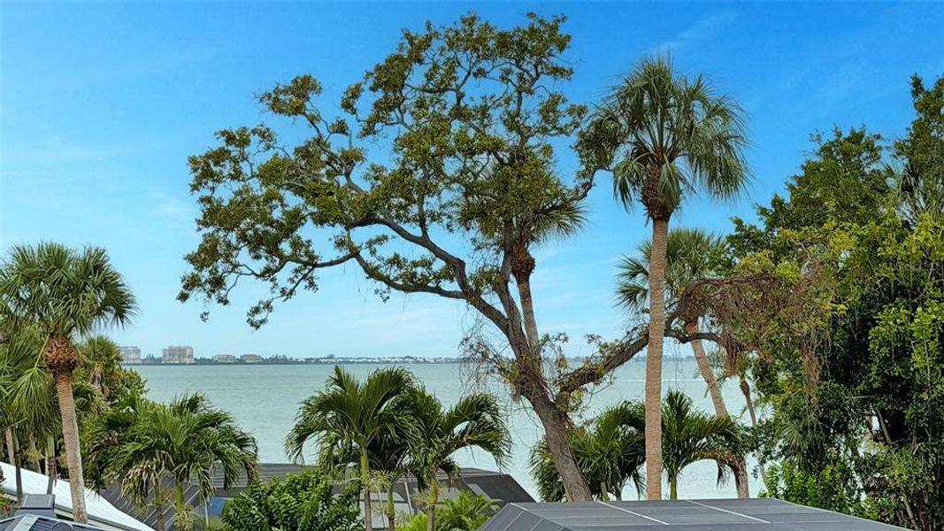 Natural landscape and outdoor views near  in Sarasota (Image 29).