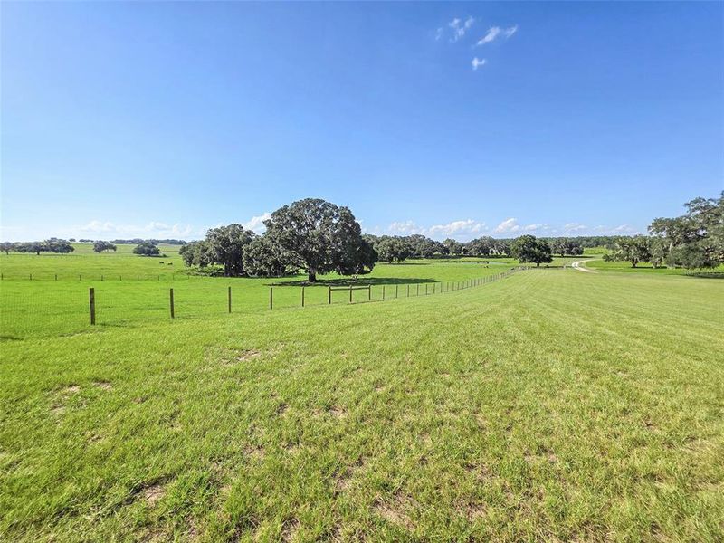 Natural landscape and outdoor views near in Morriston (Image 27). Natural landscape and outdoor views near in Morriston (Image 27).
