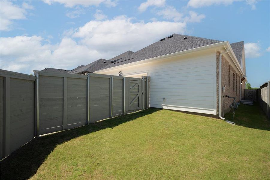 Backyard