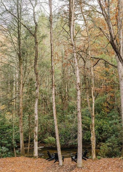Natural landscape and outdoor views near  in Blue Ridge (Image 65).