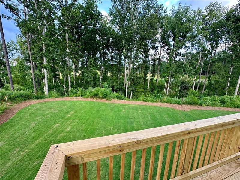 Natural landscape and outdoor views near Mt. Tabor Ridge in Dallas (Image 20). Natural landscape and outdoor views near Mt. Tabor Ridge in Dallas (Image 20).