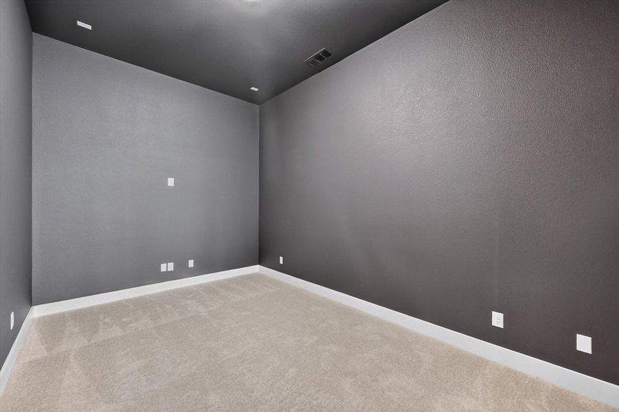 Entertainment Room