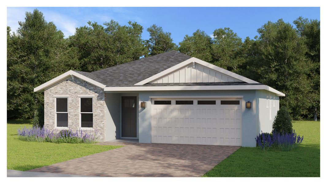 Buttonwood C Buttonwood C