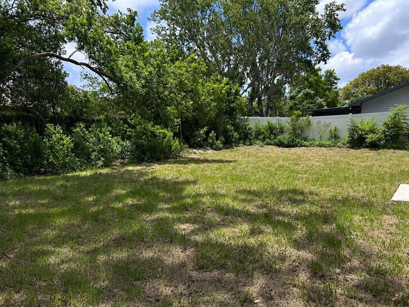 Natural landscape and outdoor views near  in Spring Hill (Image 10).