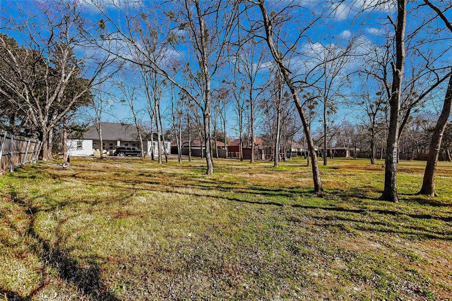 Natural landscape and outdoor views near  in Greenville (Image 8).