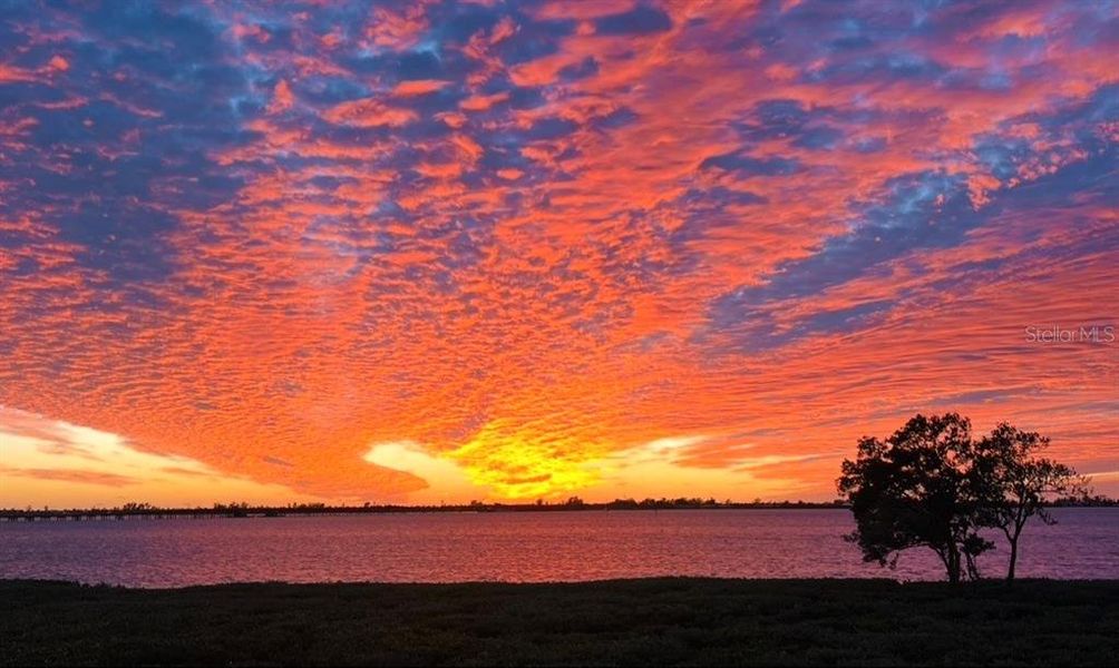 Natural landscape and outdoor views near  in Bradenton (Image 70).