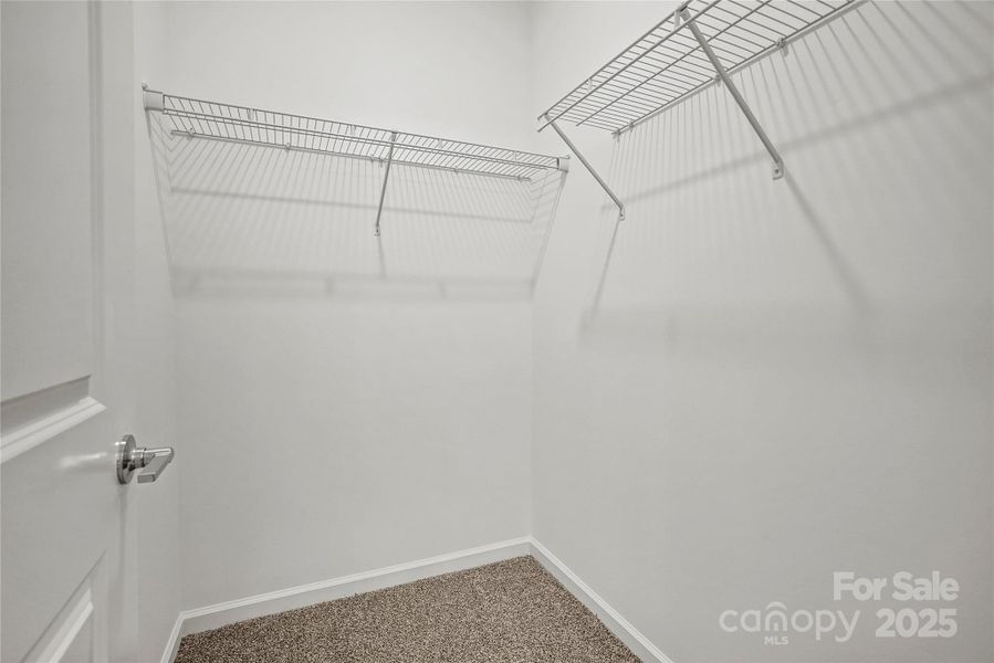 Digital Image Similar