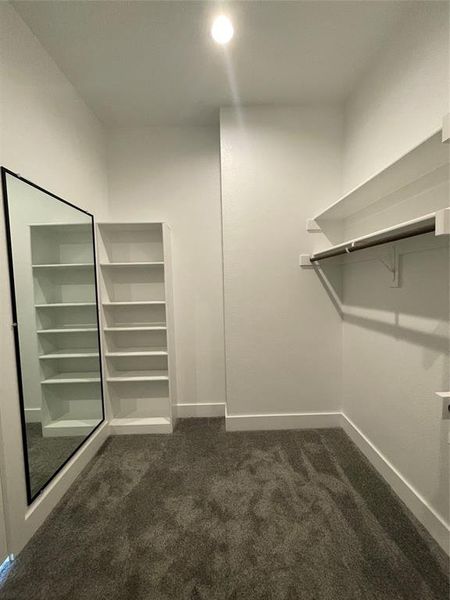 Spacious closet with dark colored carpet Spacious closet with dark colored carpet