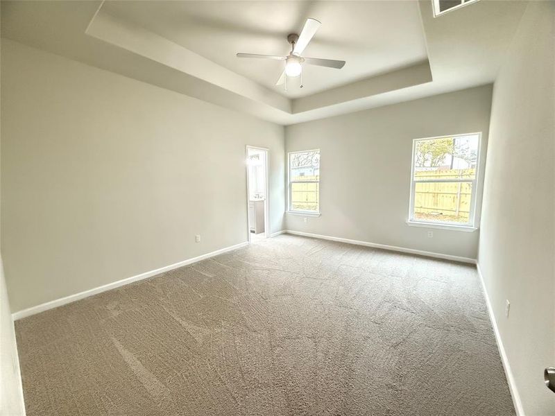 Empty room with a tray ceiling, a wealth of natural light, ceiling fan, and light carpet