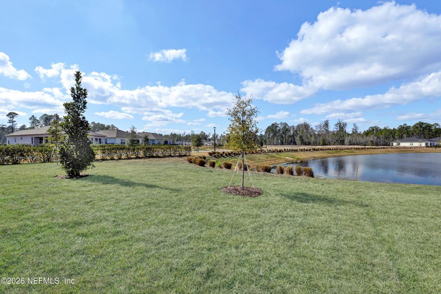 Natural landscape and outdoor views near  in Palm Coast (Image 31).