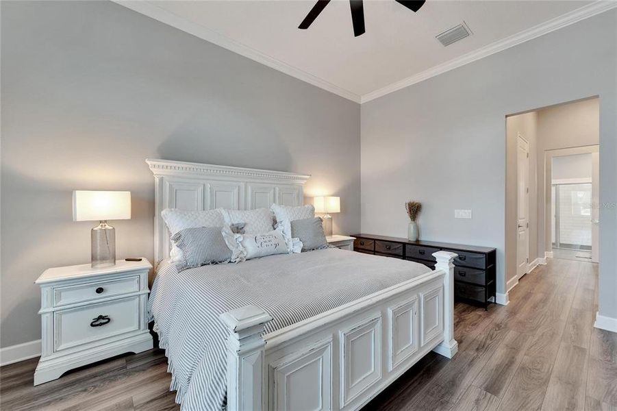 Furnished interior view inside a new home in Marisol Pointe at MiraBay Florida Series, Apollo Beach (Image 8).
