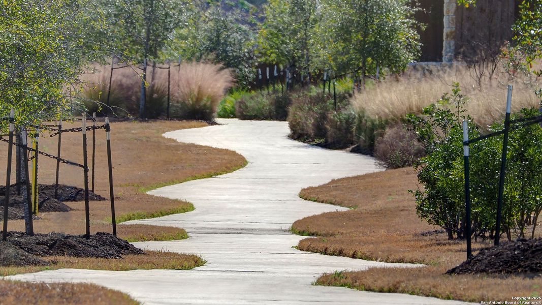 Image 6 of a home in Homestead 65'.