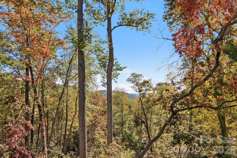 Natural landscape and outdoor views near  in Hendersonville (Image 31).