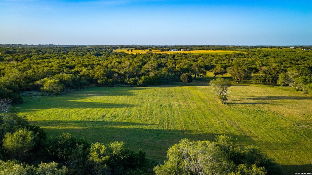 Natural landscape and outdoor views near  in Runge (Image 34).
