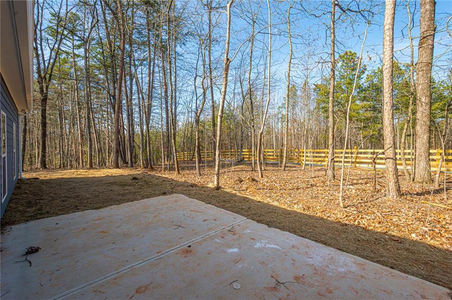 Natural landscape and outdoor views near  in Dawsonville (Image 34).