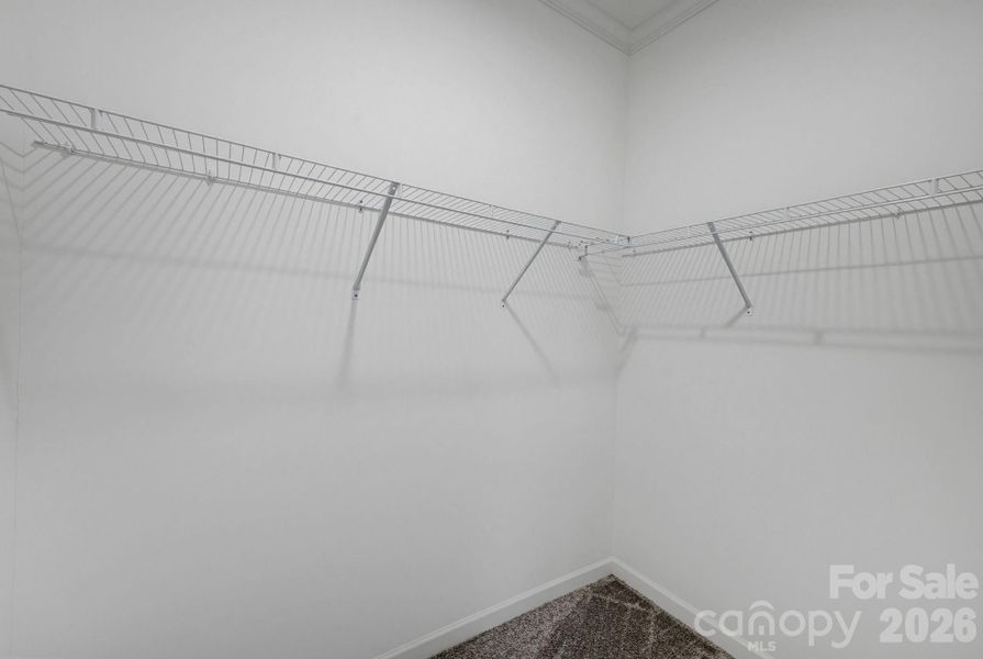 Spacious, unfurnished interior of a new home in , Newton (Image 29).