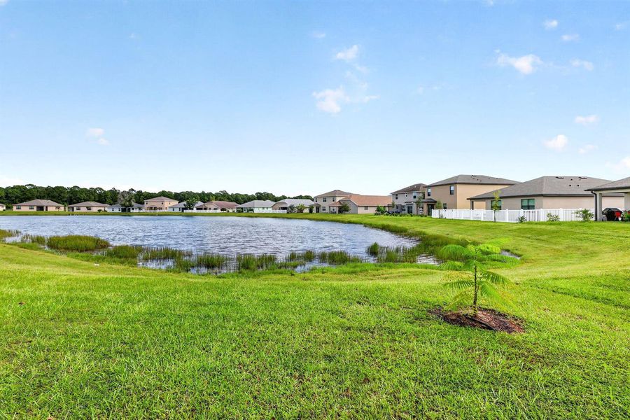 38-web-or-mls-5P1A1770