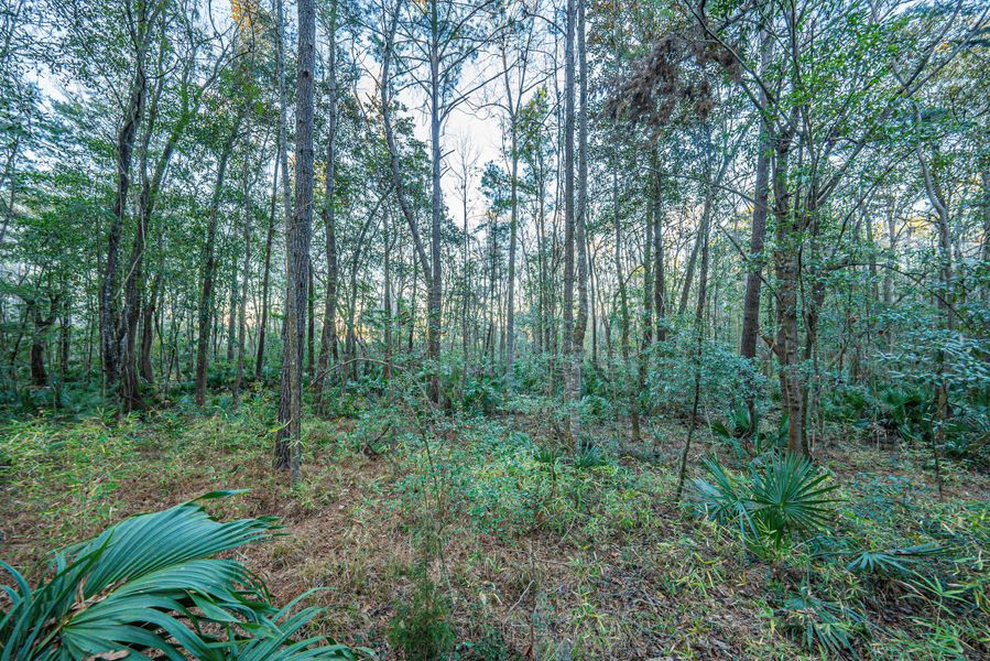 Natural landscape and outdoor views near in Dorchester (Image 42). Natural landscape and outdoor views near in Dorchester (Image 42).