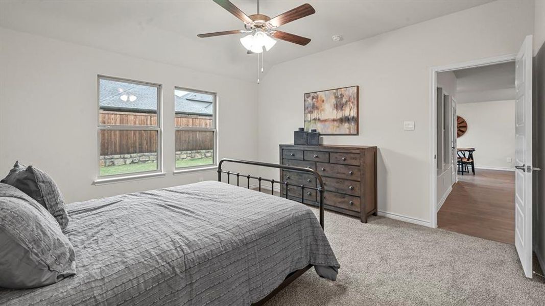 Bright room with plush carpeting, two windows, and a ceiling fan