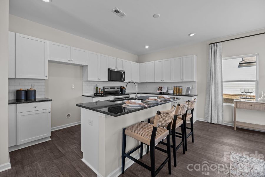 Model Photo for Representational Purposes