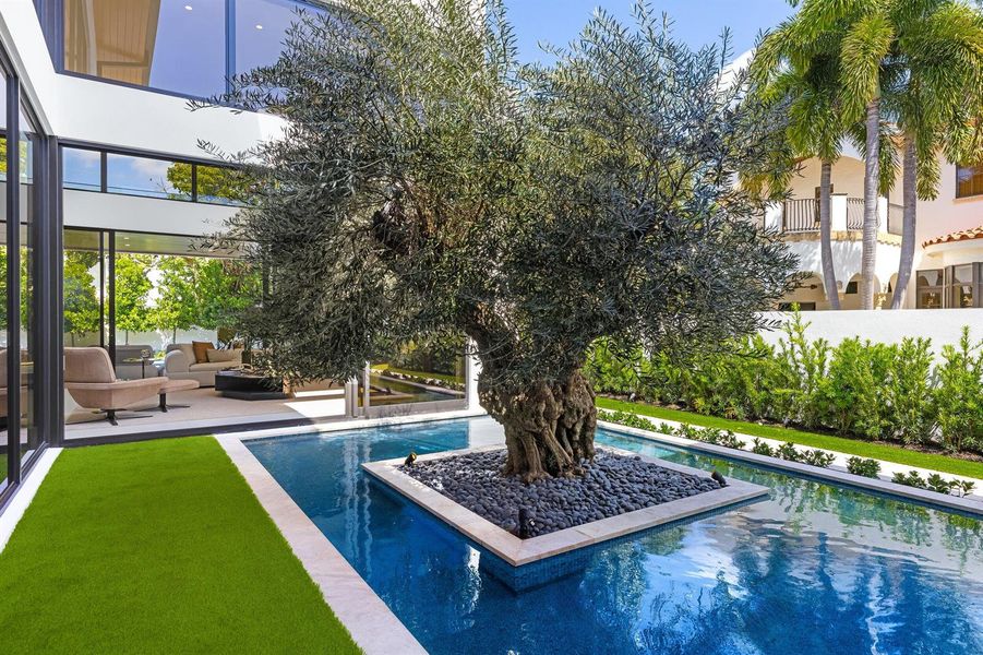 OLIVE TREE COURTYARD OLIVE TREE COURTYARD