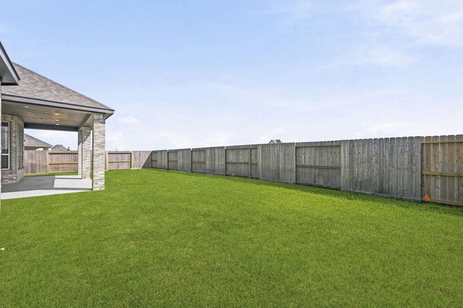 Backyard Backyard
