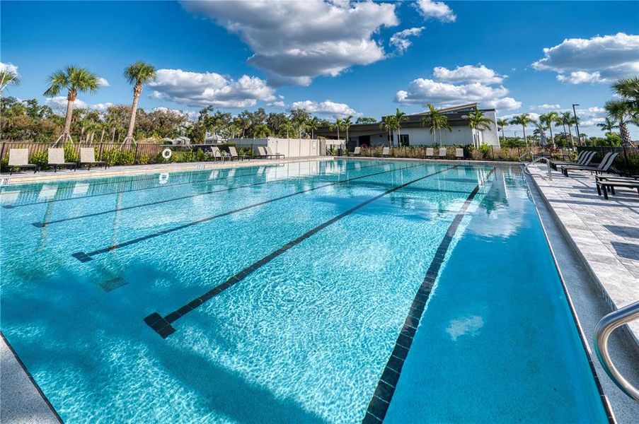 Community amenities in , Sarasota (Image 41). Community amenities in , Sarasota (Image 41).