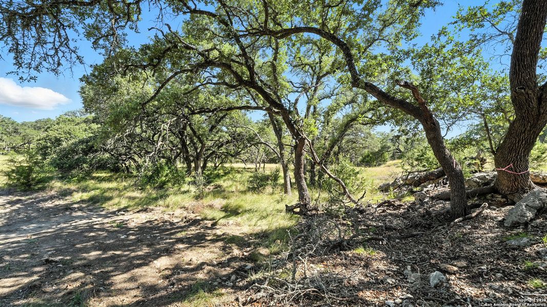 Image 9 of a home in .