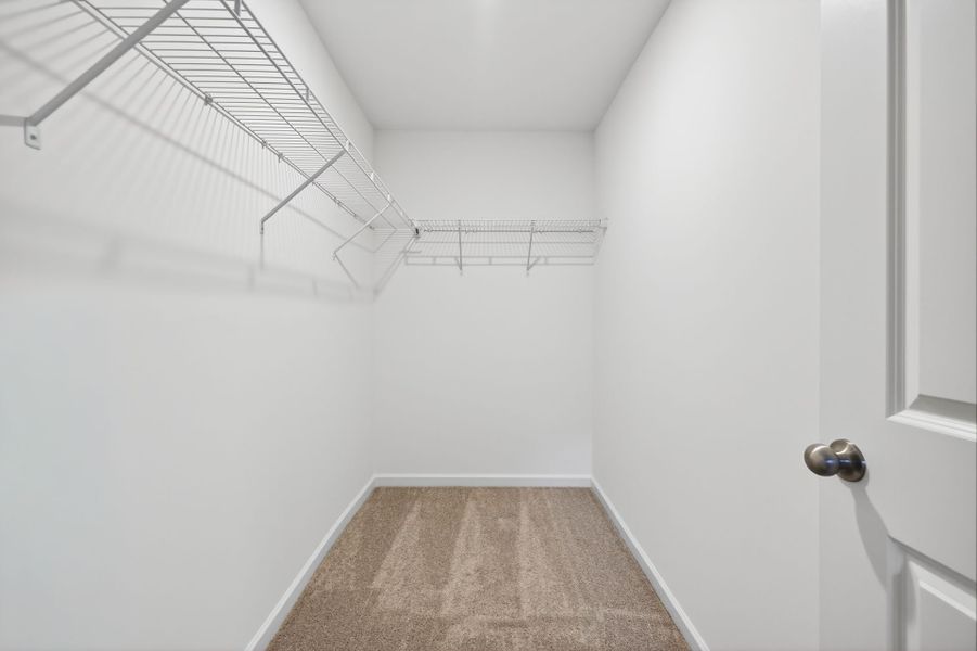 Spacious, unfurnished interior of a new home in Edgewater - The Cottages, Lancaster (Image 22).