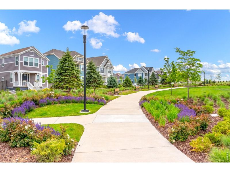 Community amenities in , Erie (Image 43).