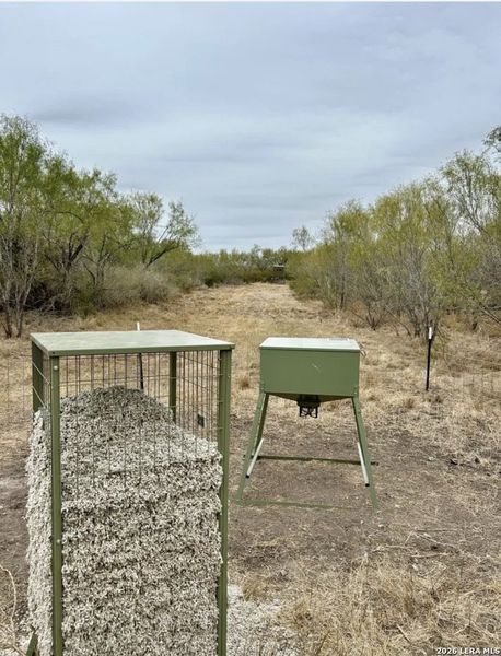 Community amenities in , Pearsall (Image 18).