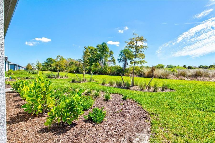 Natural landscape and outdoor views near  in Nokomis (Image 64).