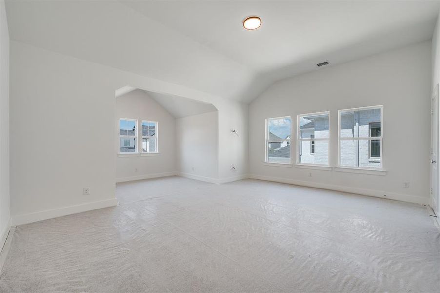 Additional living space featuring light colored carpet, a wealth of natural light, and lofted ceiling