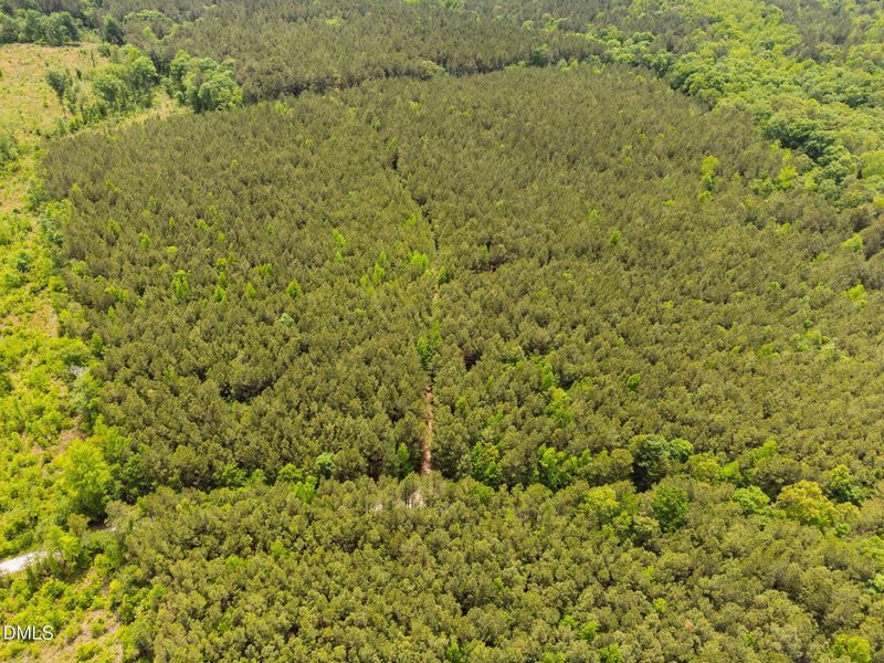 16-web-or-mls-s-plank-rd (1) 16-web-or-mls-s-plank-rd (1)