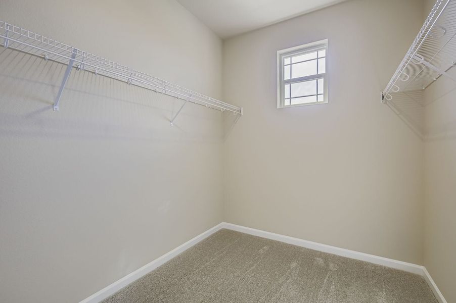 New Home in Fort Collins, CO.  - Slide 18