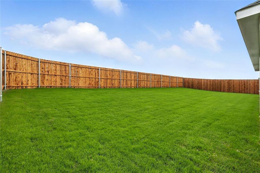 View of fenced backyard