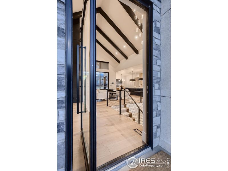 Stunning 48" pivot front door